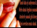 anlad�m anlad�m