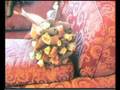 videos de 101 Dreams II.wmv
