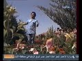 رضا الخياط ويه الطيور الطايره