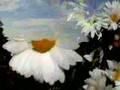 Matana by BioBaZaR - ambient music