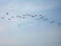 yes, the tomcats look like a b-2. please stop saying this. also, the 