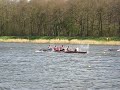 Orca's puur mannelijk op de Bosbaan Orca's puur mannelijk op de Bosbaan