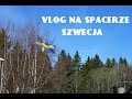 VLOG NA SPACERKU: JĘZYK, EDUKACJA W SZWECJI