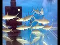 Bala Shark