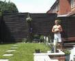 Buzzfly in the garden