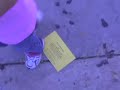 PHILADELPHIA-HOMICIDE CITY, Money Murder & Politics