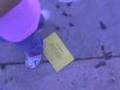PHILADELPHIA-HOMICIDE CITY, Money Murder & Politics