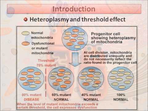 Inherited Mitochondrial Diseases