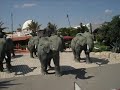 Tunisia: Hammamet Yasmine & Hotel Byblos