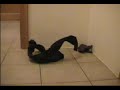 R?kawiczka: Rewolucje / The Glove: Reloaded