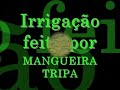 Irriga��o (Loja HIDROTERRA)Cultivos de Hortali�as