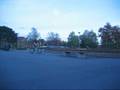 linus lindell street