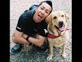 ゲバゲバ90分オープニングテーマ