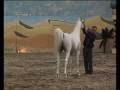videos de khaliq galvan01.avi
