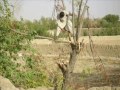 Afghan War - Part Two, Op Herrick 4