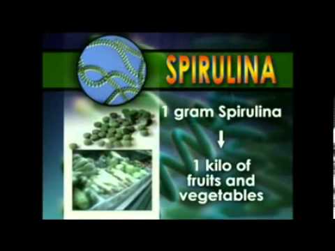how to fertilize spirulina
