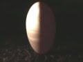 Vernal Equinox