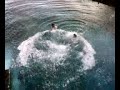 delfines sueltos piscina punta del rey