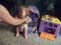 Ashley Stands