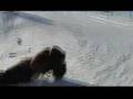 Kings Langley School Austria Trip 2008 (Part 2of2)