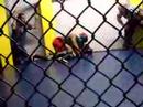 Conflict in Cage 2