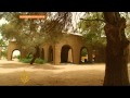 شاهد الفيديو