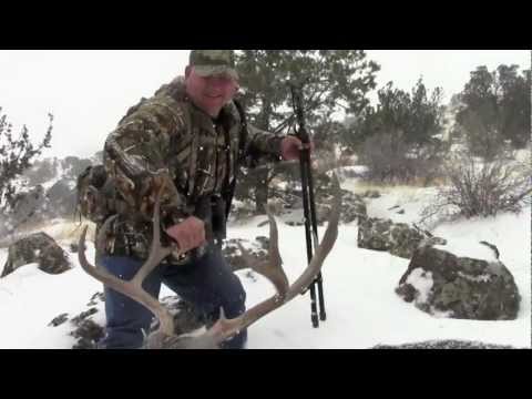 trophy-rifle-mule-deer-hunts