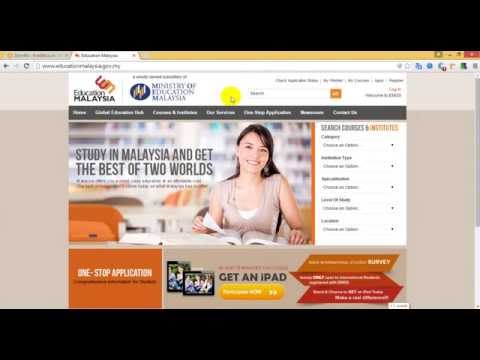 how to check us visa status