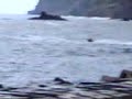 Jet Ski Ponta Delgada Madeira (004) Jet Ski Ponta Delgada Madeira (004)