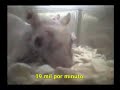 * TERRÁQUEOS * - Parte - 8 de 9. * TERRÁQUEOS * - Parte - 8 de 9.