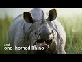 Nepal Tourism Year 2011 Promotional Video..