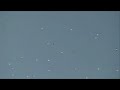ufos in space 2 -  new update OKT / 2008 - real pictures of UFO\