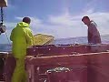 Lobster Fishing