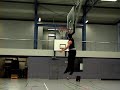 Dunks- 6\