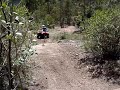 Empinando Fourtrax