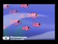 God Loves Ugly Cartoon