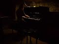 Stilbl�te spielt die g-moll Ballade von Chopin