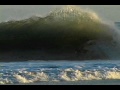 belly up trailer belly up trailer