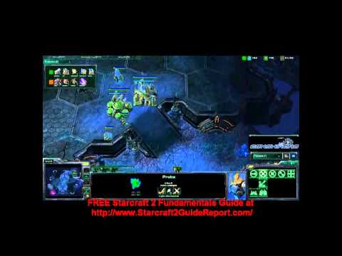 starcraft 2 zerg starcraft 2 zerg