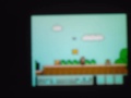 Nintendo DS NES Emulator.