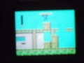 Nintendo DS NES Emulator.