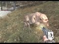 S.T.A.L.K.E.R - Run like hell