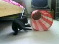 Spelen