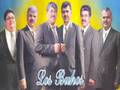 Los Buhos