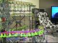 K'nex Helix Test