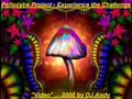 Psilocybe Project - Experience the Challenge Psilocybe Project - Experience the Challenge