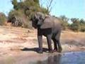 Victoria Falls & Chobe River 2004