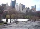Central Park New York near Wollman Rink Central Park New York near Wollman Rink