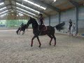 D'un carrousel très répété à une représentation très déjanté