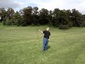 whip-targets.html